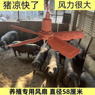 吊扇养殖场宠物专用风扇 猪场专用风扇 降温猪舍猪厂电风扇排风扇