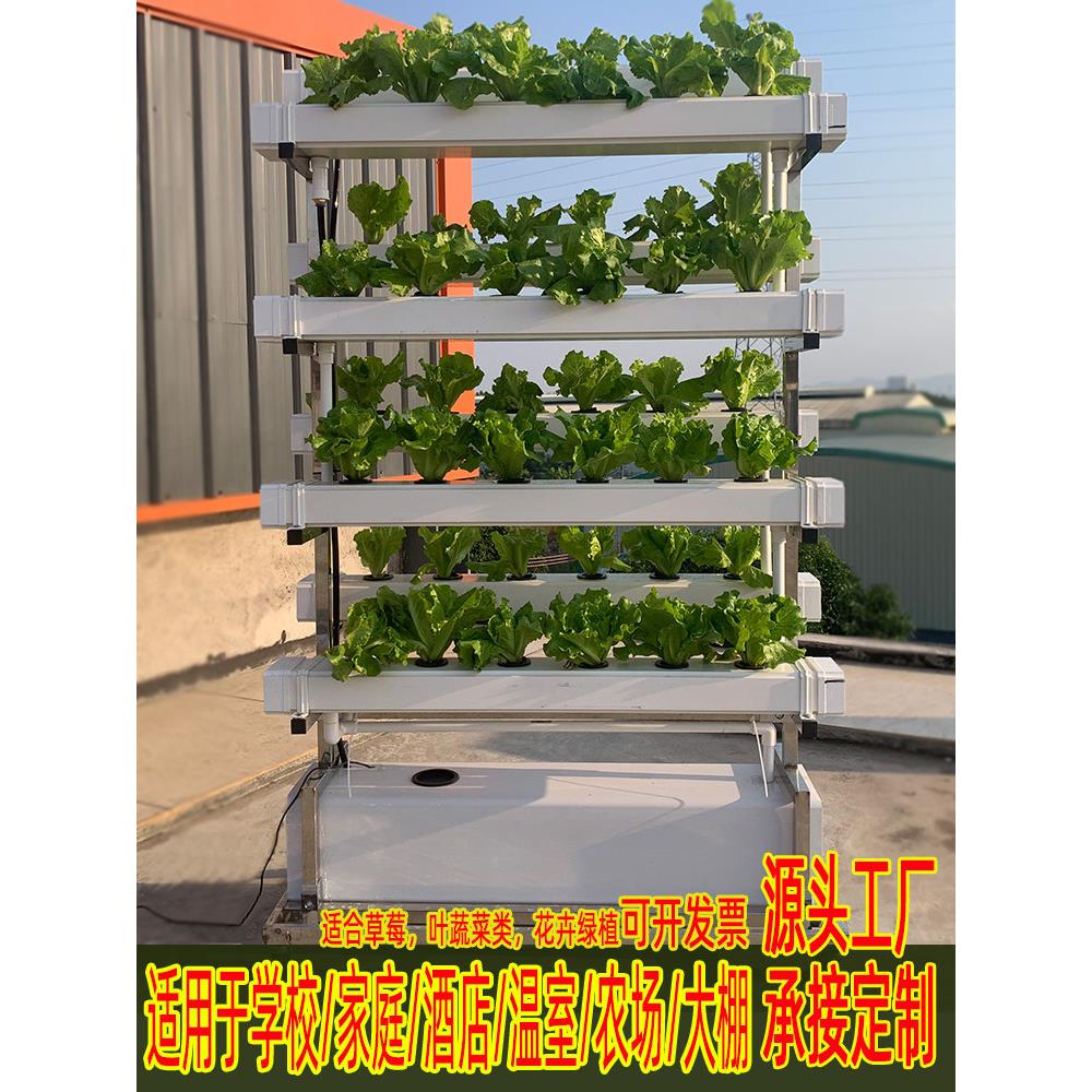 NFT无土栽培蔬菜草莓种植双面垂直架水培设备阳台水耕多层种菜机