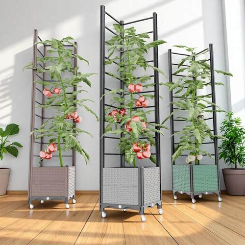 黄瓜爬藤架阳台四季豆花架支伸缩杆葡萄架子庭院户外植物月季番茄