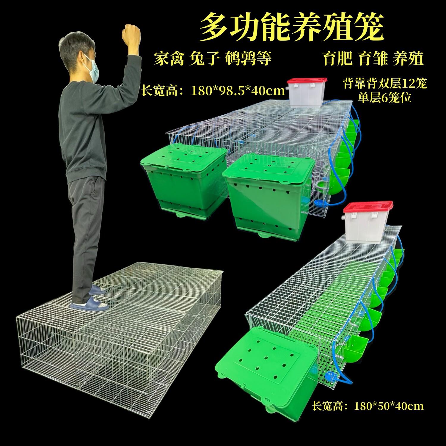 兔笼仔兔育肥笼母兔产仔笼单层多功能养殖笼鹌鹑家禽加粗加密笼子
