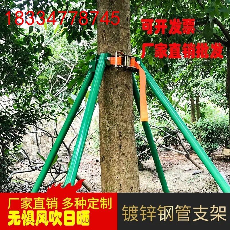 园林固定器支架镀锌防风绿化树A木支撑架大树钢管金属铁稳定苗木,农用物资,苗木固定器/支撑器,淘宝优惠券,粉丝福利购,淘宝优惠卷