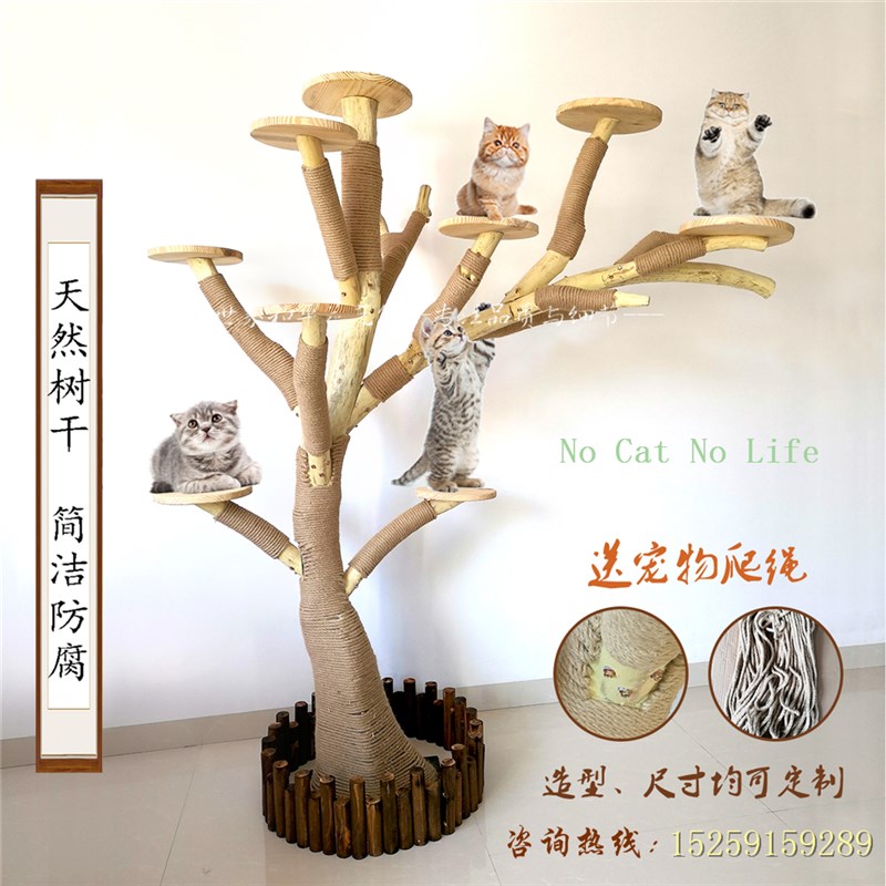 实木猫爬架耐磨不粘毛原木枯树干大型窝抓板爬树宠物玩具跳台一体
