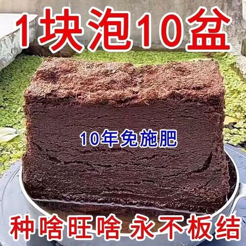 免施肥】椰砖营养土养花压缩营养土通用型M椰砖土种菜有机脱盐椰