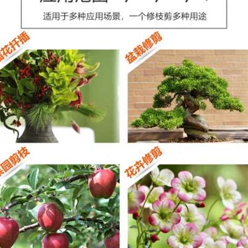 代代发家用剪枝果树修q枝剪刀园艺修枝剪园林省力花艺工具修花枝