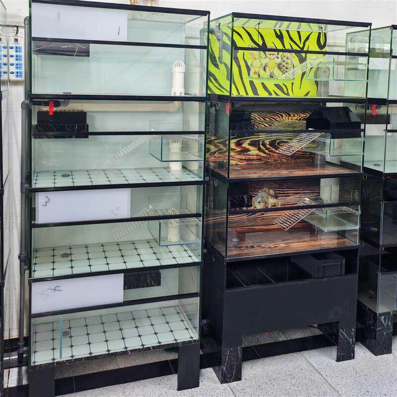 乌龟繁殖下蛋排缸一拖三四层乌龟缸多层鱼缸底滤排缸订做金龟直销