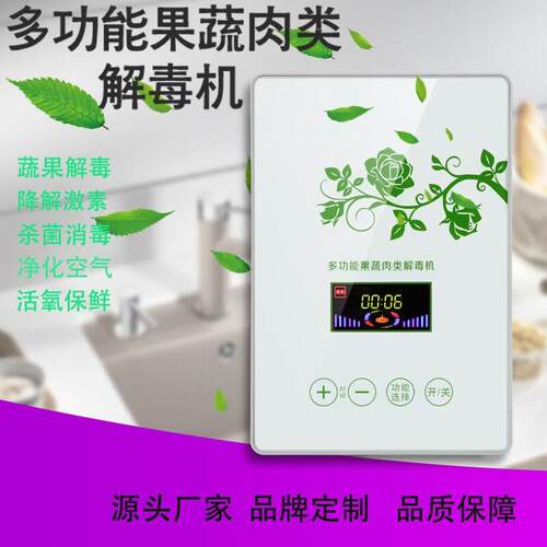 多功能活氧果蔬食品解毒清洗机 家用水处理消毒机 臭氧机发生器