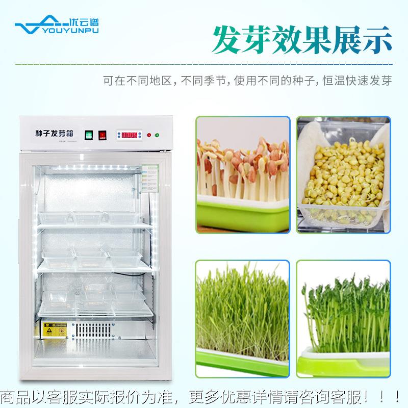 种子发芽箱电热恒恒湿温试验箱细YP-330菌微生培养箱能智育芽催芽