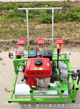 新款大蔬菜精播机 双棚排茼蒿播芹小香芹种JNH机 菜播种机