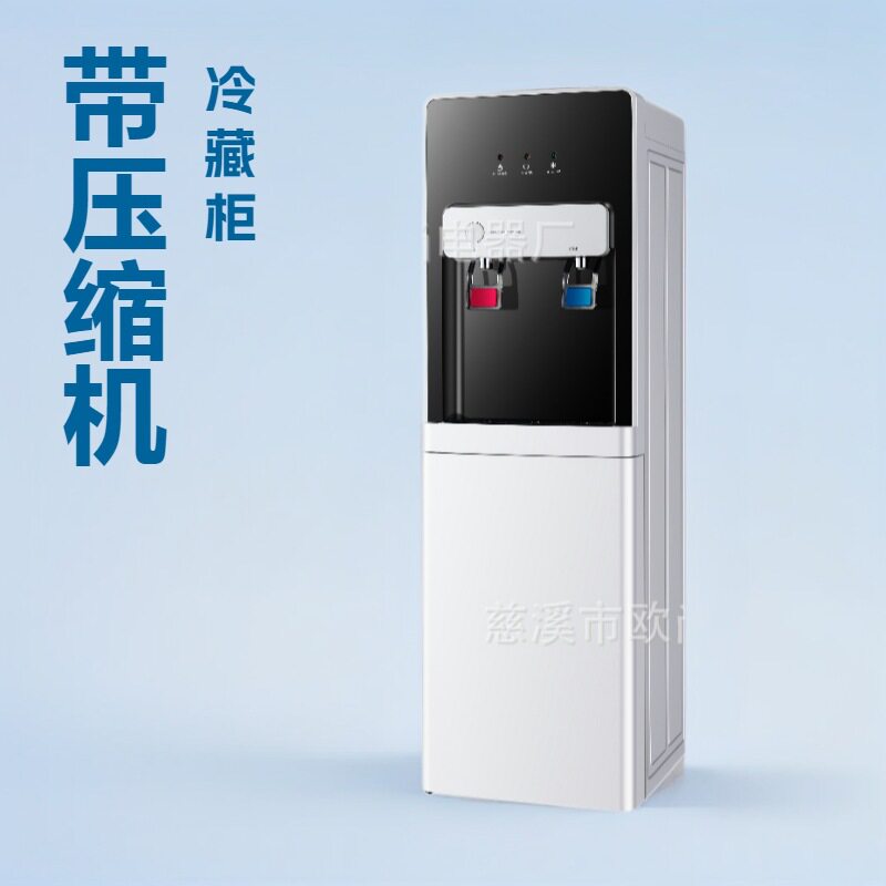 压缩机制冷饮水机带冷藏柜家用冰温热立式外贸商用开水机跨境