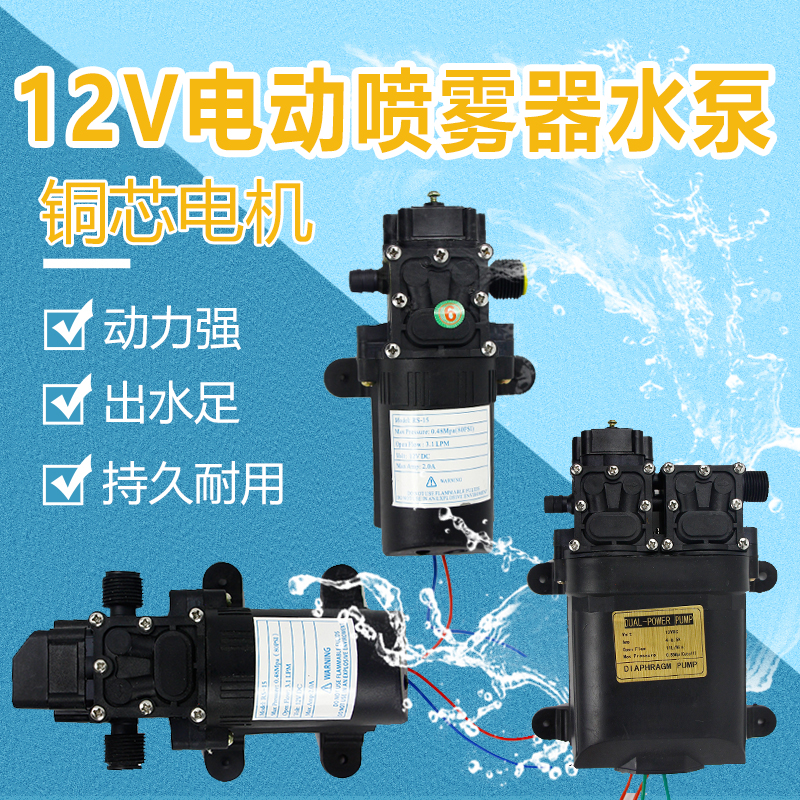 电动喷雾器水泵高压隔膜泵12Av电机小型大功率双泵回流泵农用