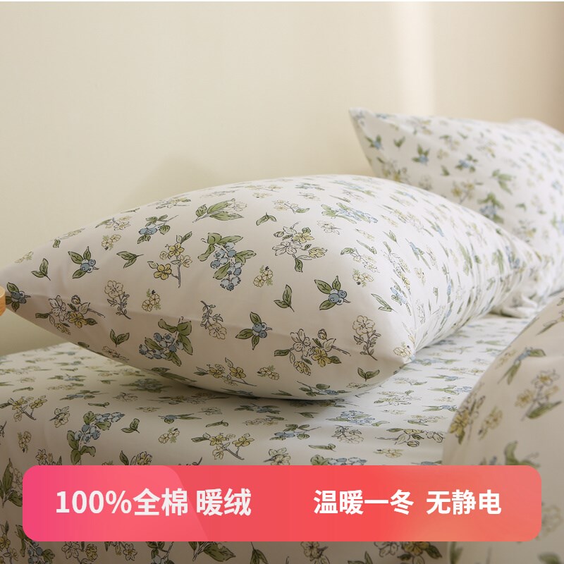 【全棉暖绒】秋冬保m暖轻磨毛床单单件被套100纯棉加厚碎花无静电