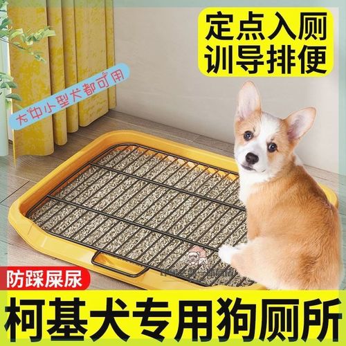 柯基专用狗狗厕所小型犬宠物尿盆防踩屎大小便神器拉屎狗砂盆便盆