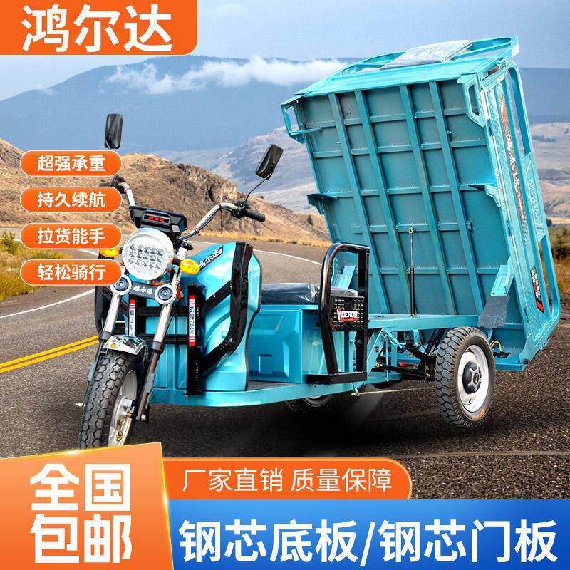 加厚全钢板车厢拉货家用接孩子载重长跑王电瓶电动三轮车快递车