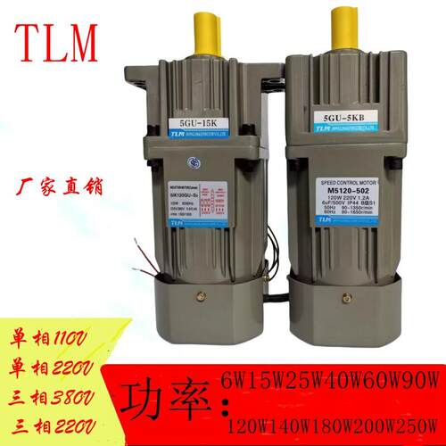减速电机220V小型6-400W东力单相正反转齿轮变速交流调速马达马达