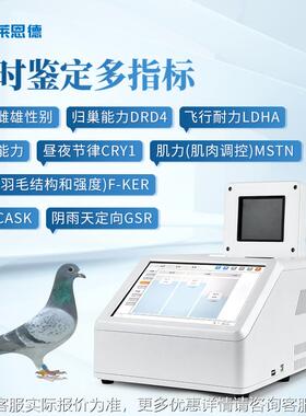 赛鸽行能力XIH雌鉴定仪高精度鸽子D飞NA归巢检测鉴红外雄性别别仪