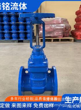 Z41T-16Q硬密封闸阀法兰明杆闸阀国标硬密封铜芯闸阀防护闸阀