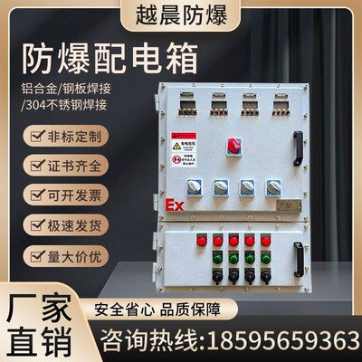 防爆配电箱照明动力柜p不锈钢碳钢电源检修控制接线空箱插座开关