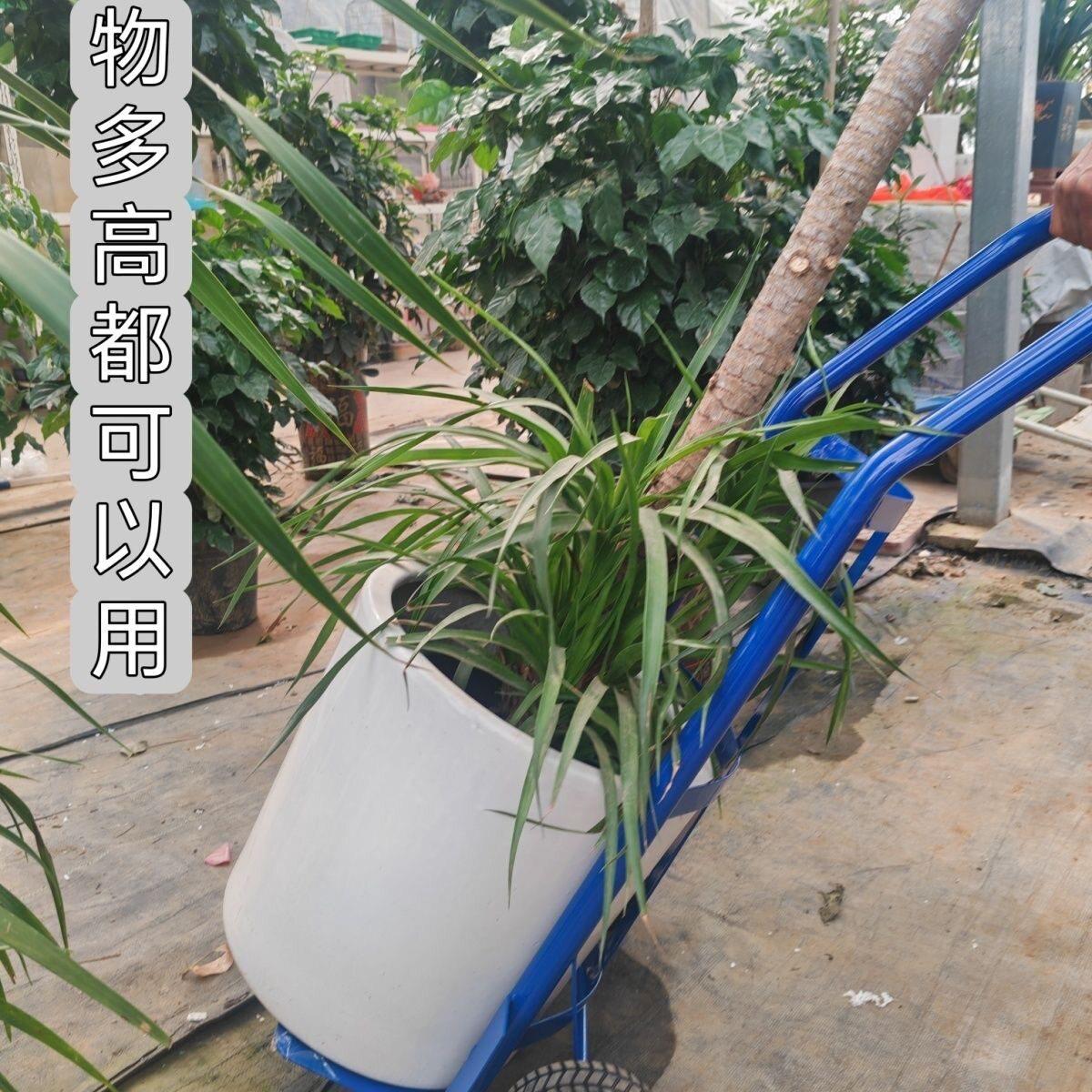 大花盆专用手推车花卉市场小圆盆搬运工具高盆栽盆景省力移动拉车