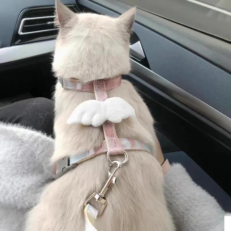 猫咪牵引绳可调节遛猫q绳子可爱翅膀幼猫外出专用胸背带宠物狗用