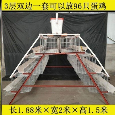 鸡笼子家用室外大号特大蛋鸡专用笼阶梯式鸡舍Q自动出蛋养鸡场专