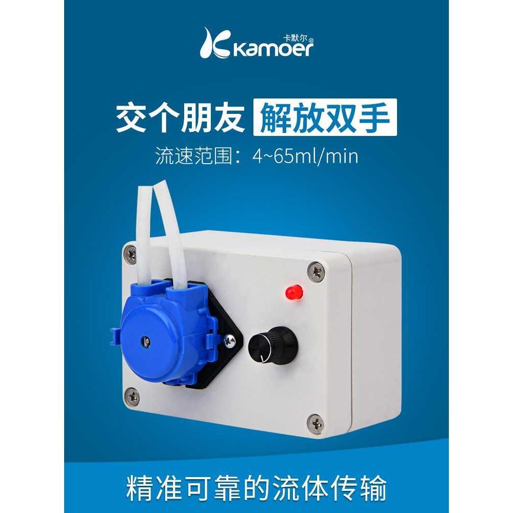蠕动泵实验室微型自吸泵小型循环小泵 自动家用12V水泵电动抽水泵