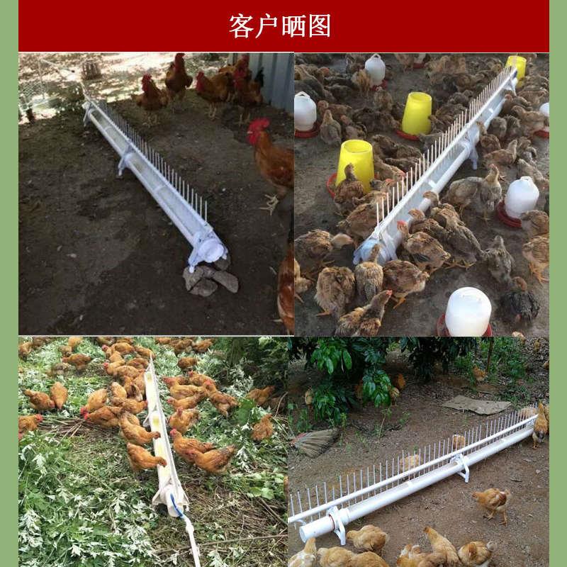 2021新款栅栏型鸭子饮水器全自动鸡鸭鹅鸽用喂水器水槽替代普拉