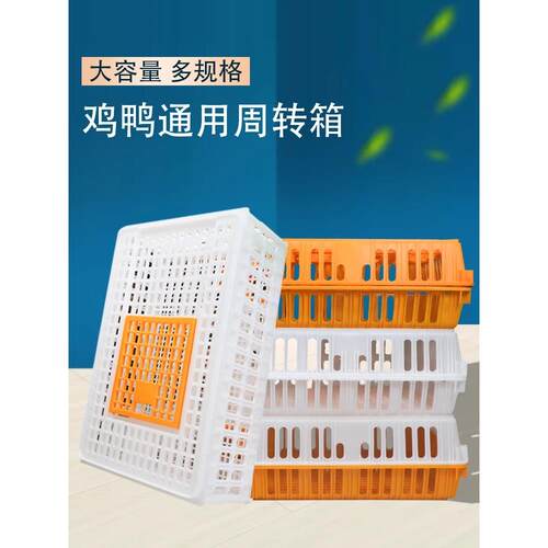 加厚鸡框成鸡运输笼鸡用周转箱运输鸡笼塑料运输框鸡鸭鹅运输笼子