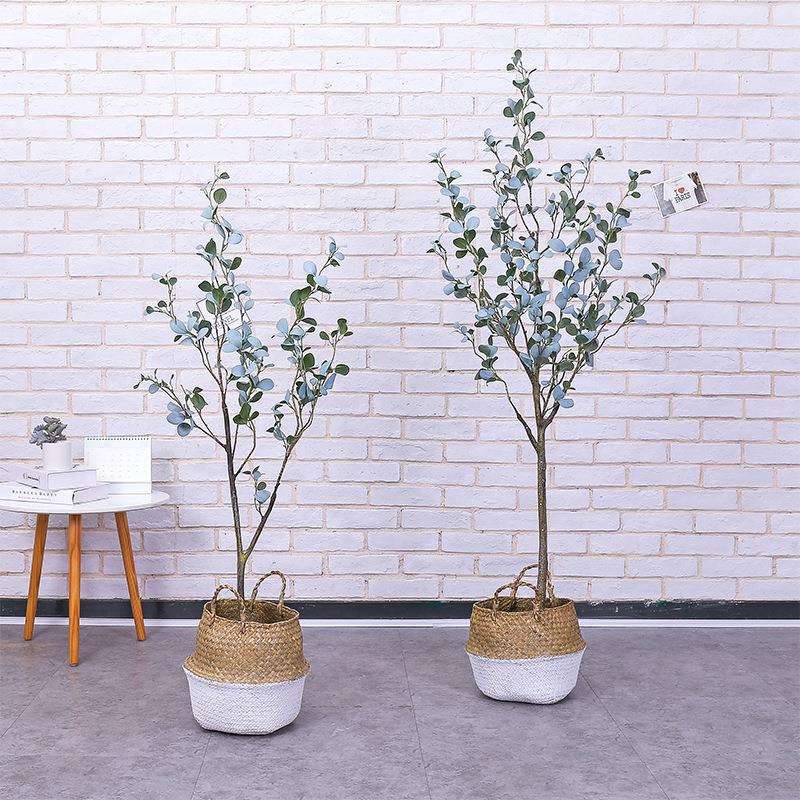 新款仿真黄杨金钱树椿北欧简约盆栽尤加利室内装饰假绿植客厅落地