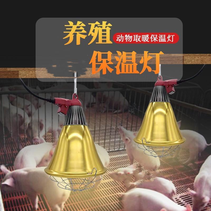养殖保温灯罩猪用鸡鸭鹅猪取暖灯罩保温箱灯泡网罩养猪场养殖用品