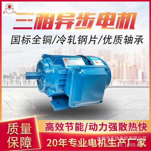 台州东协三相异步电机ye2粉碎机电机380v 1.1kw1.5kw2.2kw3kw4kw