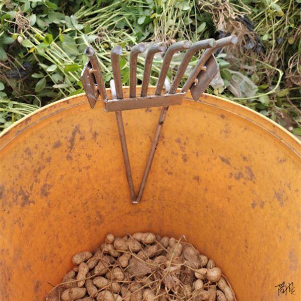 摘毛豆机器便携省力省时农用摘菜摘毛豆摘果机铁耙扒剥毛豆夹子