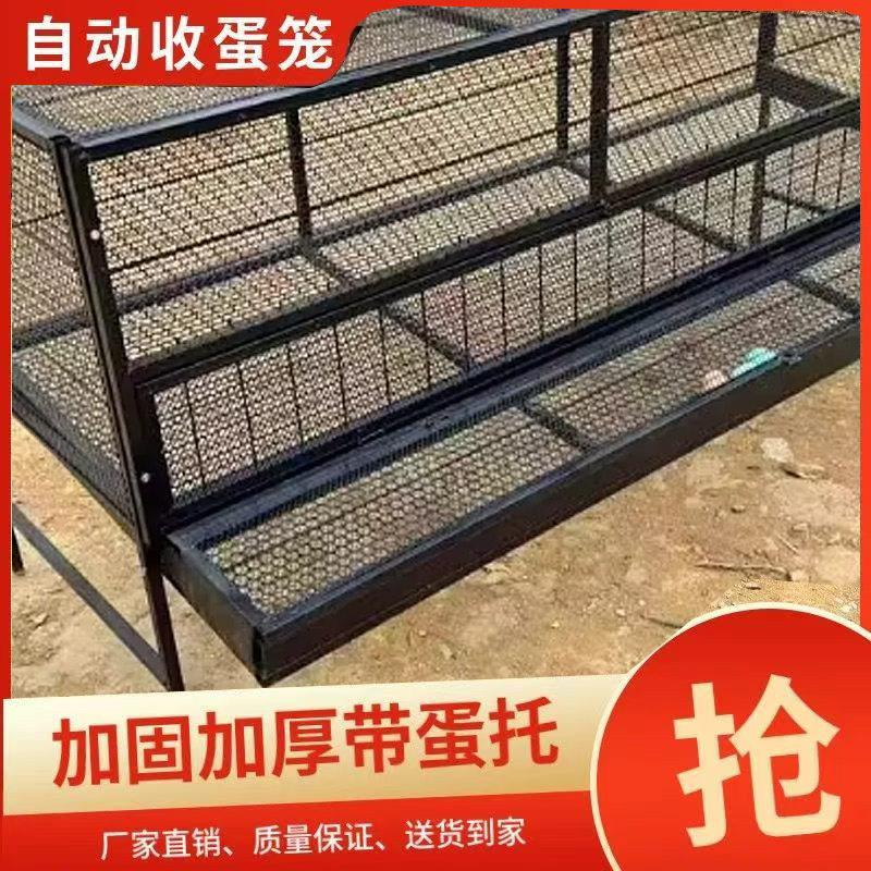 鸡笼家用室内室外铁丝网大号防雨防黄鼠狼下蛋笼自动滚蛋笼养殖笼