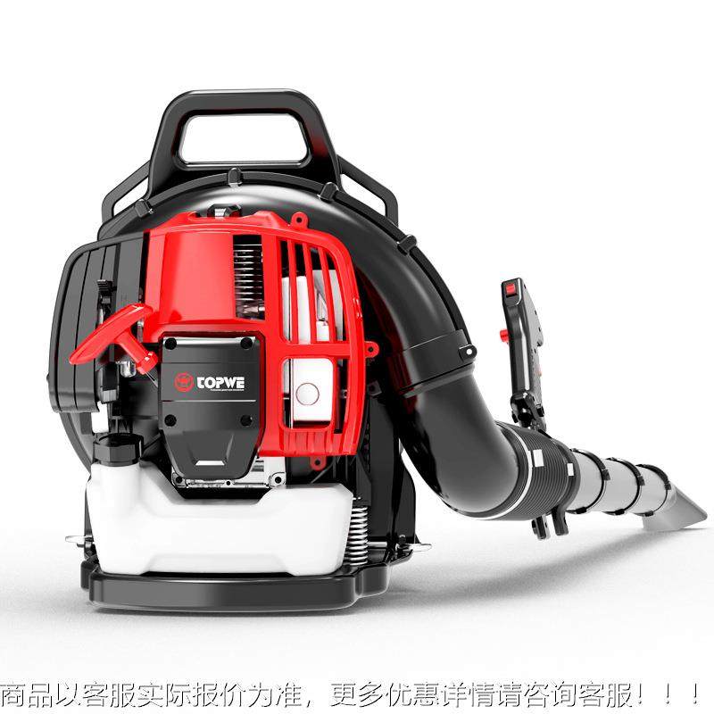 背负式工业吹风机二冲程大率园手提式吹多雪林机功能BL-520森林灭,鲜花速递/花卉仿真/绿植园艺,铲子,淘宝优惠券,粉丝福利购,淘宝优惠卷