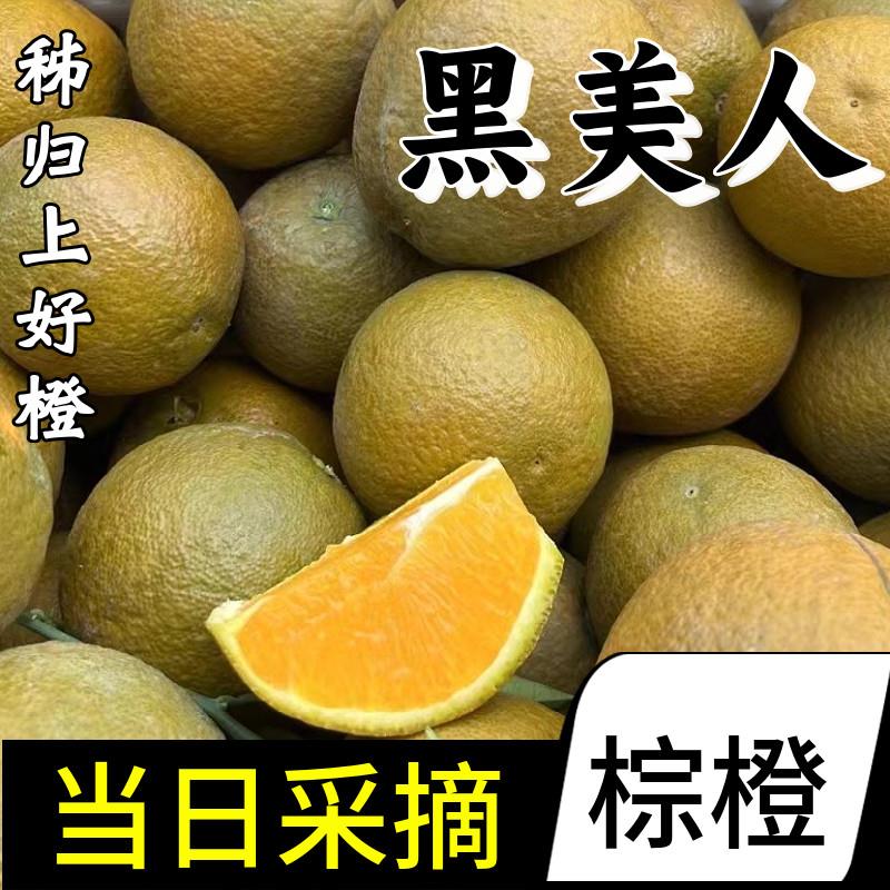 顺丰黑美人棕橙秭归脐橙子10斤整箱礼盒新鲜手剥水果应季甜大橙子
