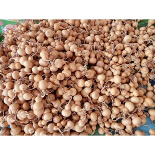 天然手把文玩铁包金葫芦工艺品4-7厘米皮质老成瓷实响籽