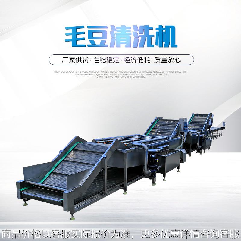 毛豆清洗机 蔬菜果蔬清洗机 水果气泡喷淋洗菜设备毛豆清洗机独制