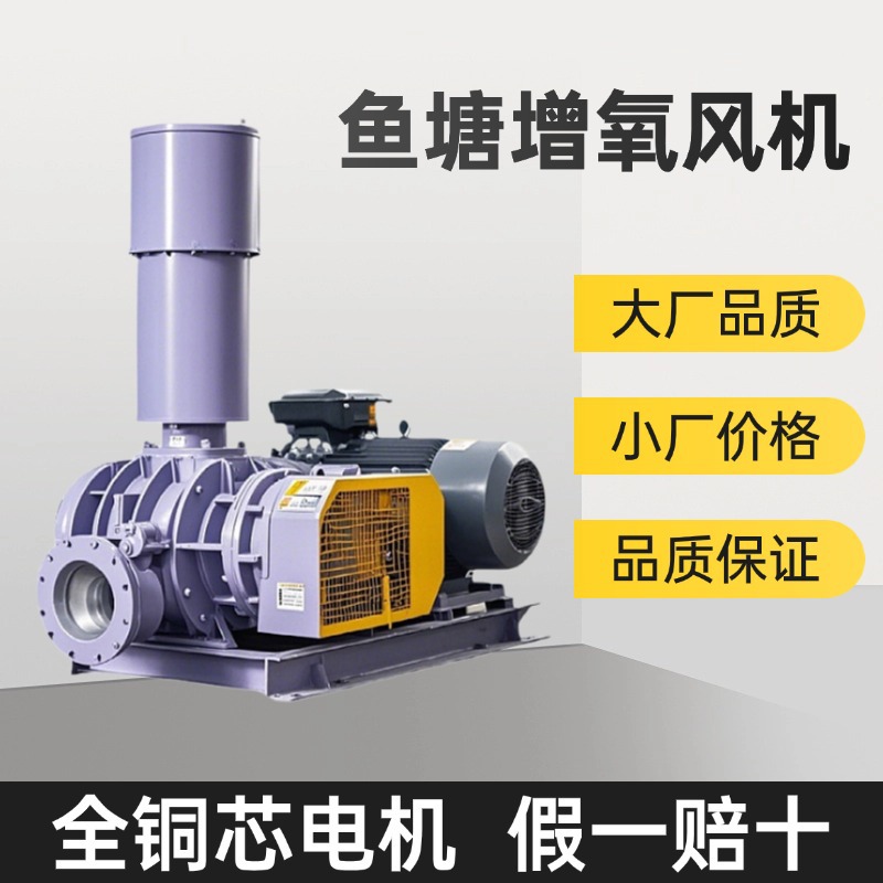 罗茨风机水产养殖鱼塘增氧大厂品质小厂价格150型380V罗茨风机