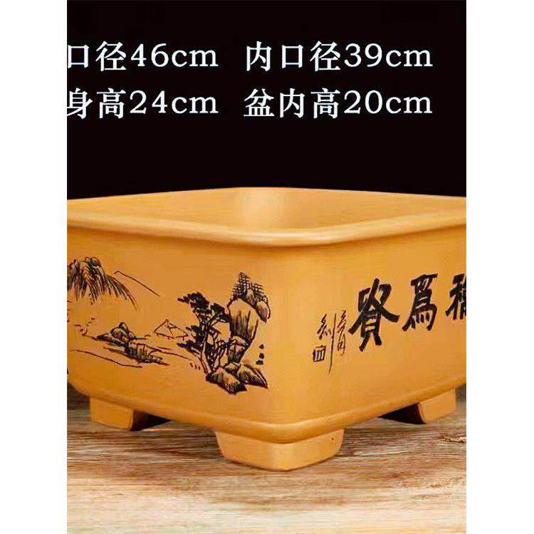 宜兴紫砂花盆陶瓷盆四方形室内植物梅花榕树老桩金弹子精品盆景