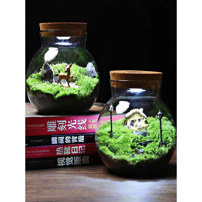 带灯玻璃瓶苔藓微景观套装diy 生态瓶闷养桌面迷你小盆栽创意造景