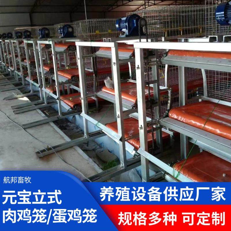 元宝肉鸡笼立体式蛋鸡笼镀锌丝全自动清粪捡蛋畜牧养殖设备厂家,农机/农具/农膜,农用防护器具,淘宝优惠券,粉丝福利购,淘宝优惠卷