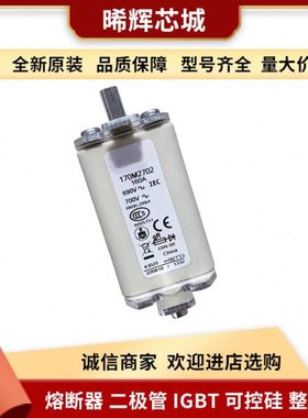 170M1318 170M1319 170M1320 直流快速熔断器电子元器件 库存充足