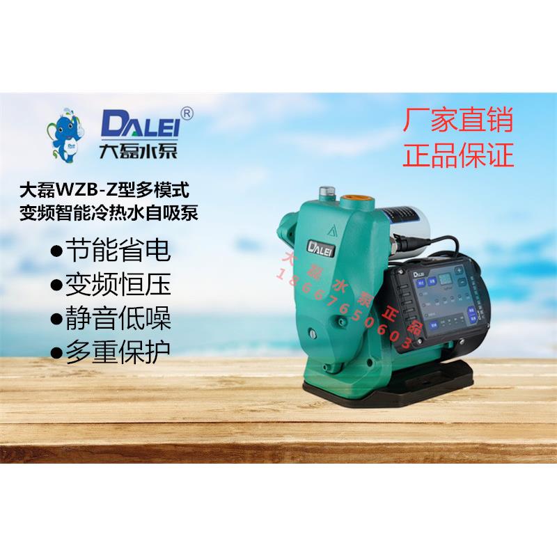 变频增压泵家用自来水加压全自动静音220V小型抽水机自吸泵大磊