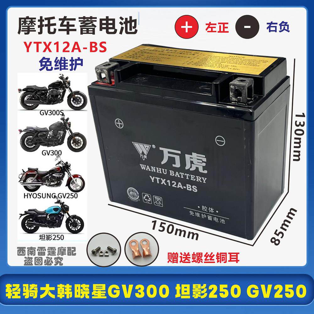适用轻骑大韩晓星GV300 GV300S GV250 坦影250摩托车电瓶12V电池