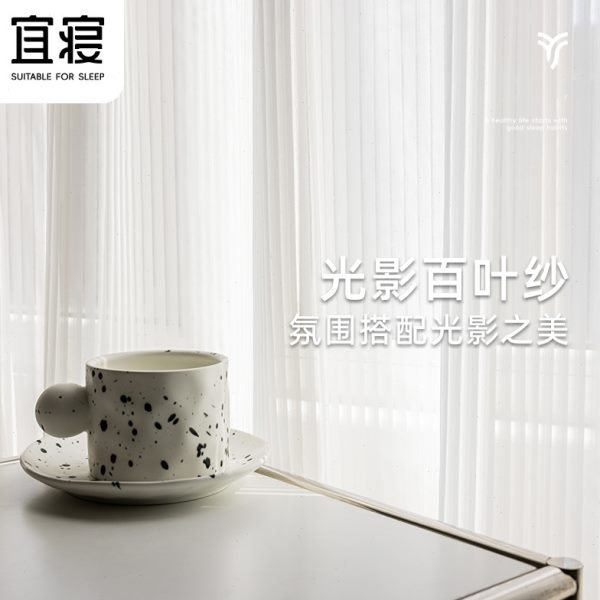 宜寝窗帘竖百叶纱帘透光不透人梦幻帘客厅卧室飘窗白色沙高端窗纱