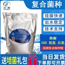 甘度复合菌种GANDEWMIX污水处理菌种去除COD生活工业废水生物菌剂
