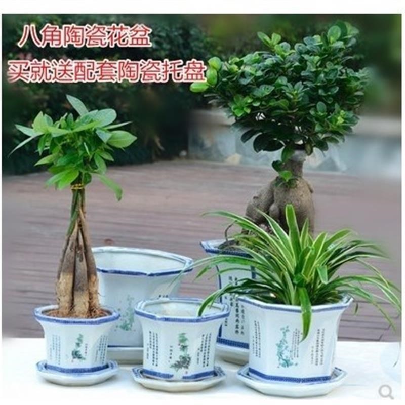 厂家蓝彩陶瓷g花盆 赠托盘 八角形陶瓷古典复古阳台室 青花绿植瓷