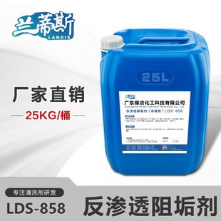 兰蒂斯反渗透阻垢剂反渗透膜RO膜专用纯净水水处理设备缓蚀阻垢剂