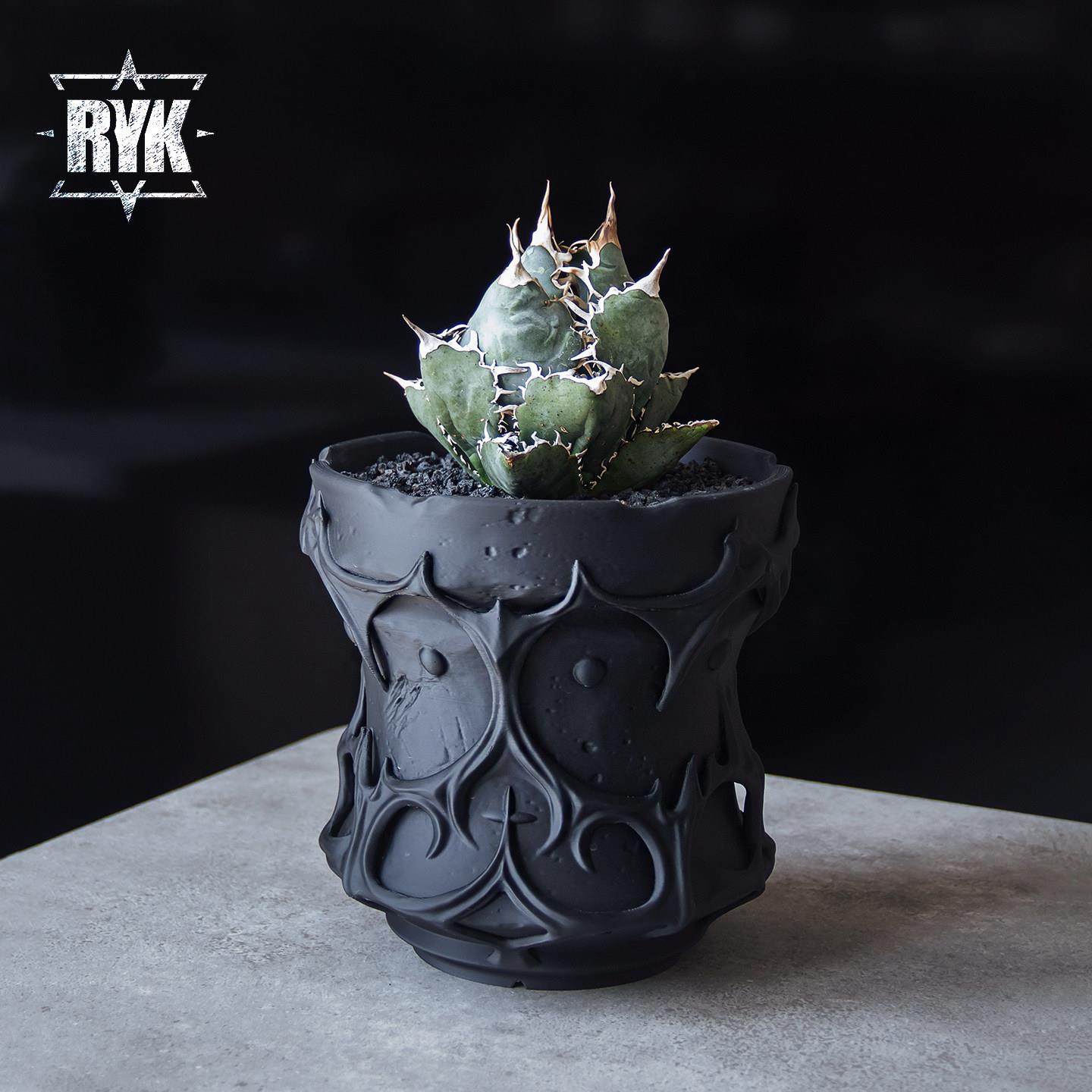 玄家新潮根花盆仙人掌乌龟壳龙舌兰花花盆3D打印创意黑色多肉花盆,鲜花速递/花卉仿真/绿植园艺,花盆,淘宝优惠券,粉丝福利购,淘宝优惠卷