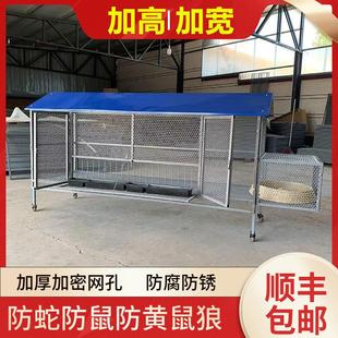 尖顶鸡笼室外防黄鼠狼饲养笼铁丝网鸽子鸭兔不锈钢芦丁鸡密养殖笼
