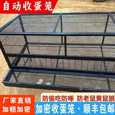 自动出蛋鸽子笼鸡笼家用兔笼养殖笼农村家禽鸡鸭鹅加密铁丝网鸡舍